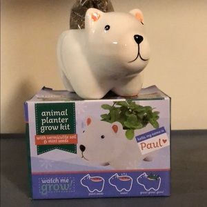 Animal Planter Grow Kit. Paul. New.